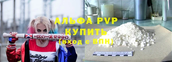 сатива Баксан