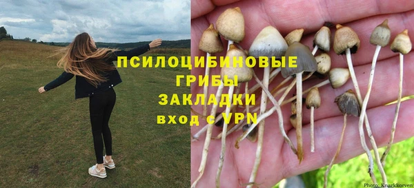 сатива Баксан
